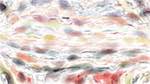 Eighth of 'reflets &mdash; paint action sequence &mdash; portrait idea 2'.
