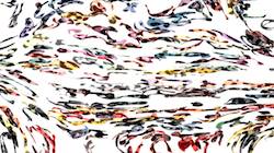 Sixth of 'reflets &mdash; paint synthesiser classic &mdash; 3.0 collection regions auto drawn 5'.
