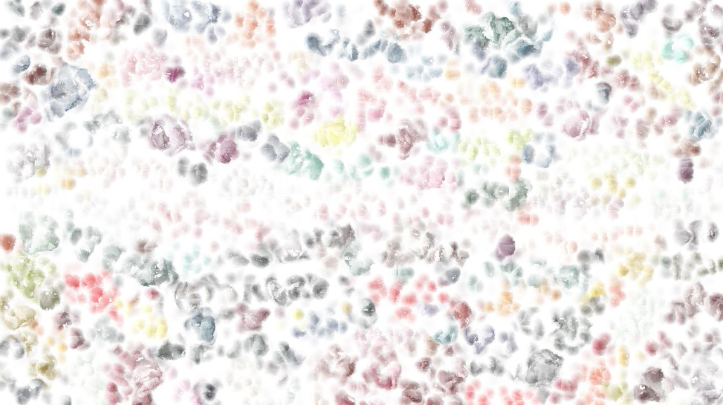 image: an image