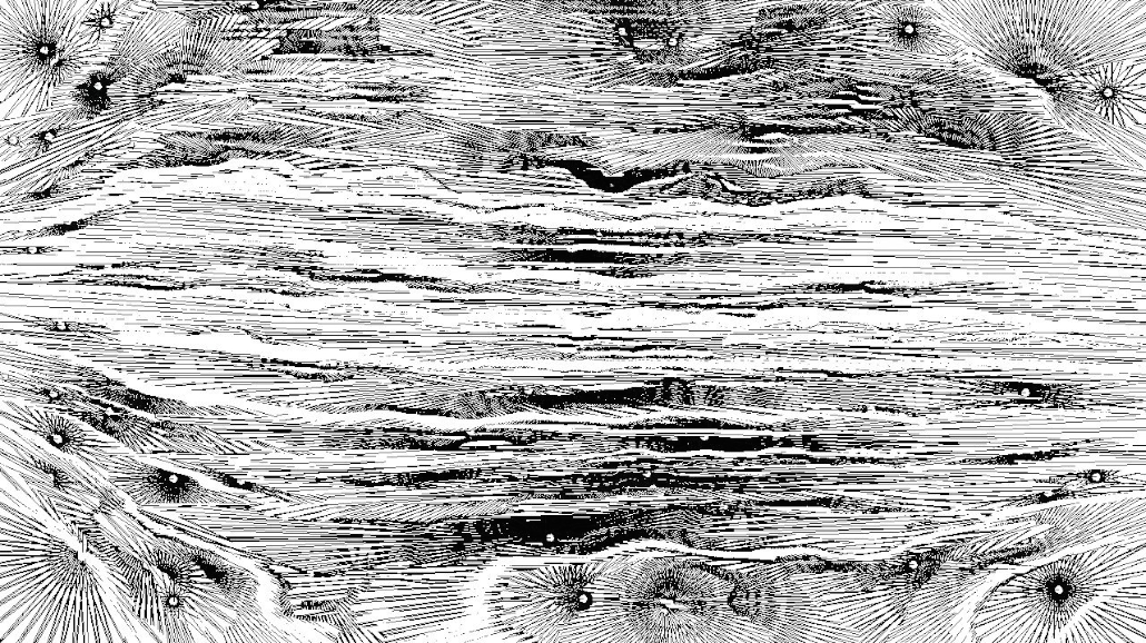 image: an image