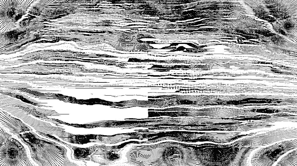 image: an image