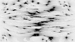 image: an image