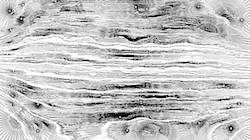 image: an image