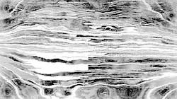image: an image