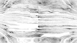 image: an image