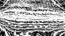image: an image