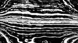 image: an image