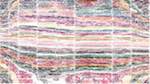 Fourth of 'reflets &mdash; paint action sequence &mdash; regionise ideas 1'.