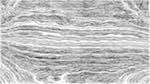 First of 'reflets &mdash; paint action sequence &mdash; regionise ideas 2'.