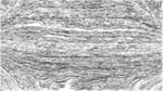 Second of 'reflets &mdash; paint action sequence &mdash; regionise ideas 2'.