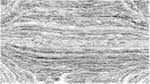 Third of 'reflets &mdash; paint action sequence &mdash; regionise ideas 2'.