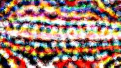 image: an image