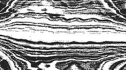 image: an image
