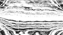 image: an image