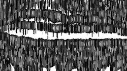 image: an image