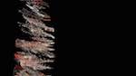 First of 'reflets &mdash; msg &mdash; processing effects 1 rutt extra'.