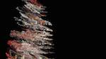 Second of 'reflets &mdash; msg &mdash; processing effects 1 rutt extra'.