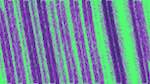 First of 'self animation reflets &mdash; msg &mdash; processing effects alpha 1'.