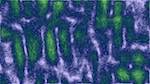 Third of 'self animation reflets &mdash; msg &mdash; processing effects alpha 1'.