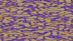 Seventh of 'self animation reflets &mdash; msg &mdash; processing effects alpha 2'.