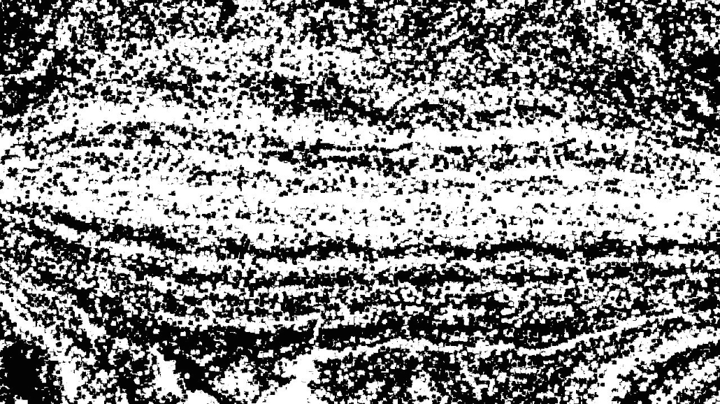 image: an image