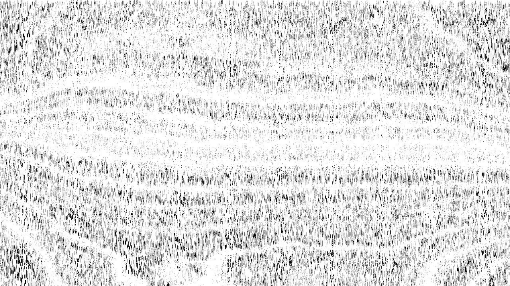 image: an image