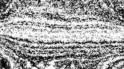image: an image