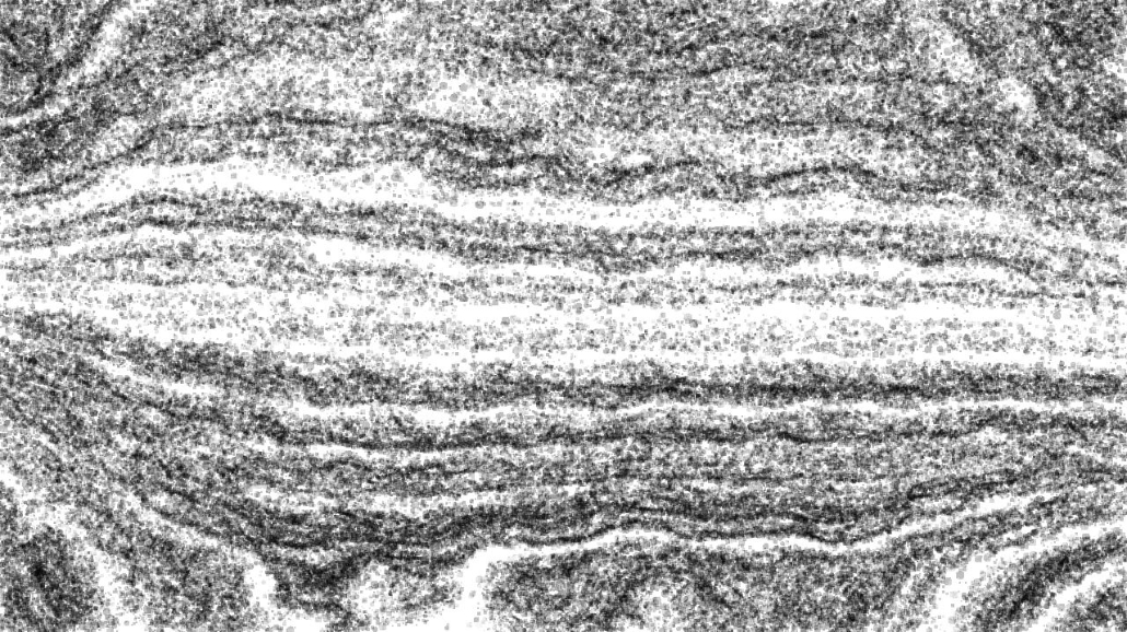 Image 'reflets &mdash; paint synthesiser classic &mdash; 4.0 collection sketch alt exp 2 3'.