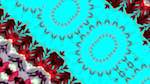 Second of 'self animation reflets &mdash; msg &mdash; processing effects 2 2'.