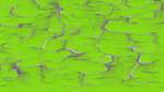 Second of 'self animation reflets &mdash; msg &mdash; processing effects with alpha 1'.