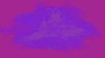 Third of 'self animation reflets &mdash; msg &mdash; processing effects with alpha 2'.