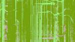 Sixth of 'self animation reflets &mdash; msg &mdash; processing effects with alpha 2'.