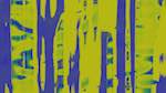 First of 'self animation reflets &mdash; msg &mdash; processing effects with alpha 3'.