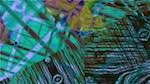 Third of 'reflets &mdash; msg &mdash; abstract 1 symmetry breaking 18'.