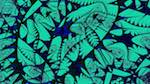Third of 'reflets &mdash; msg &mdash; abstract 1 symmetry breaking 4'.