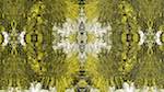 Third of 'reflets &mdash; msg &mdash; abstract 1 symmetry breaking 6'.