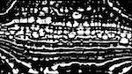 Second of 'reflets &mdash; msg &mdash; variations 0 screen 1'.