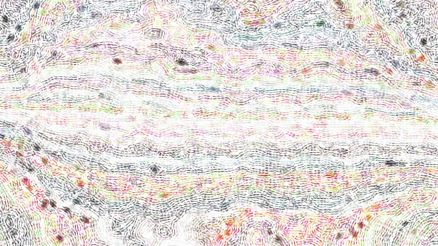 image: an image