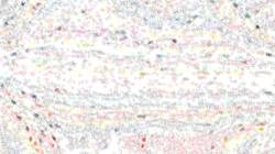 Sixth of 'reflets &mdash; paint synthesiser classic &mdash; paint styles screen effects 1'.