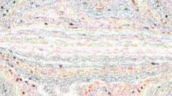 Eighth of 'reflets &mdash; paint synthesiser classic &mdash; paint styles screen effects 1'.