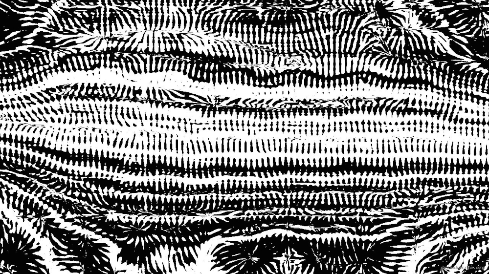 Image 'reflets &mdash; msg &mdash; processing effects 0 screening 2 5'.