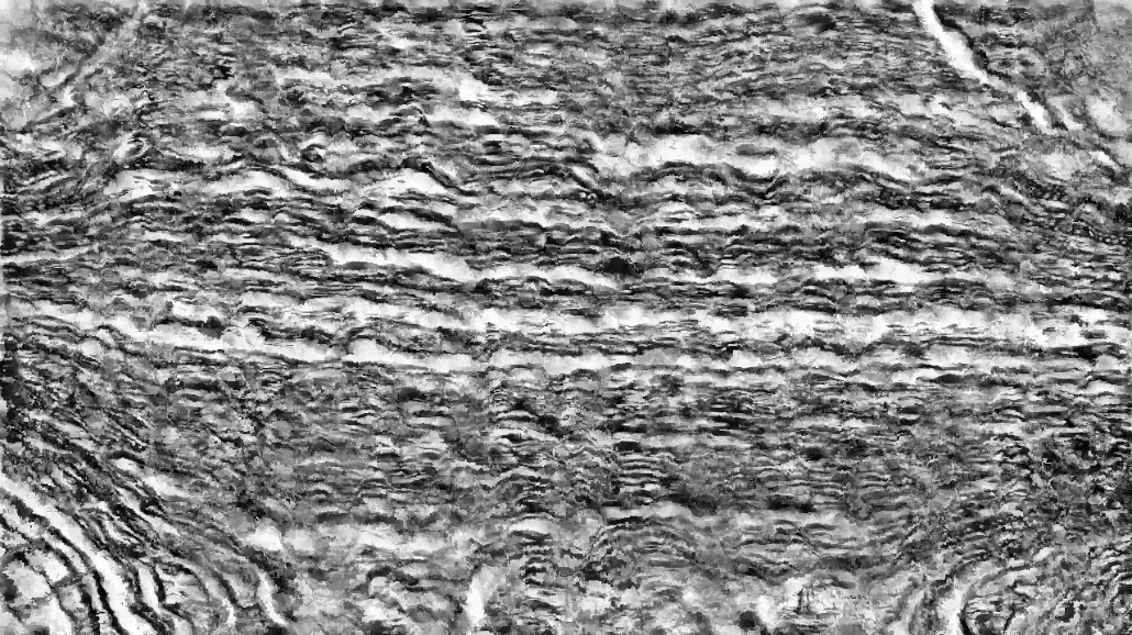 image: an image