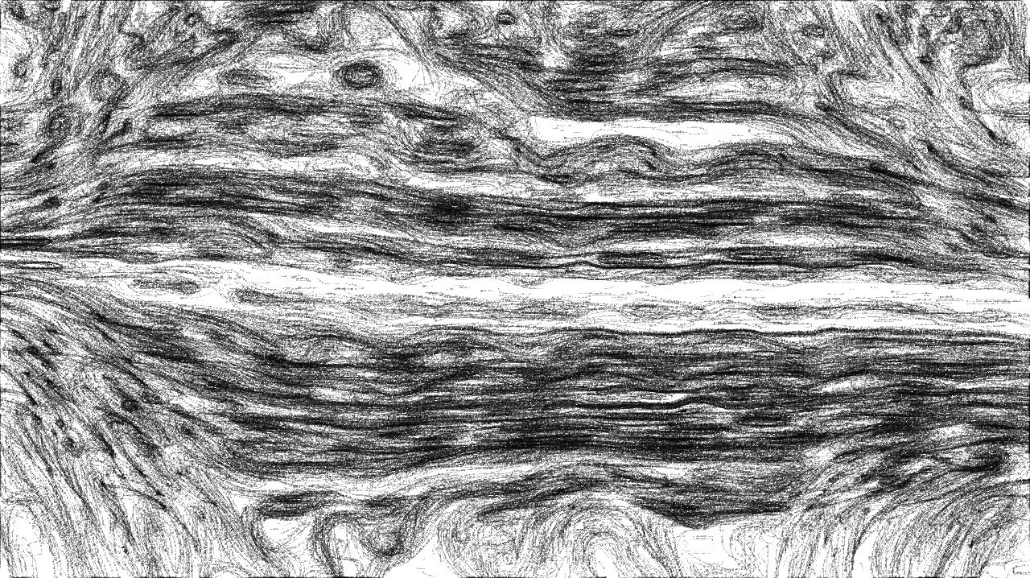 image: an image