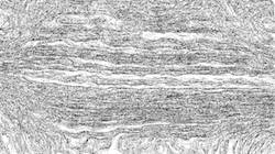 Second of 'reflets &mdash; paint synthesiser classic &mdash; 4.0 collection sketch 2'.