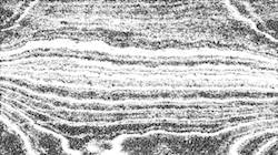 image: an image