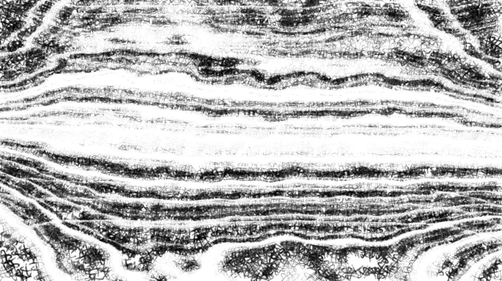 image: an image