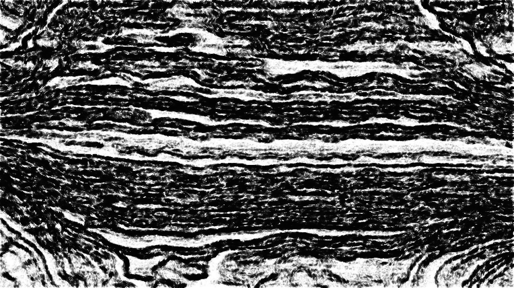 image: an image