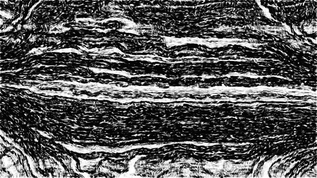 image: an image