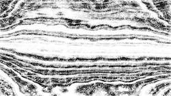 image: an image