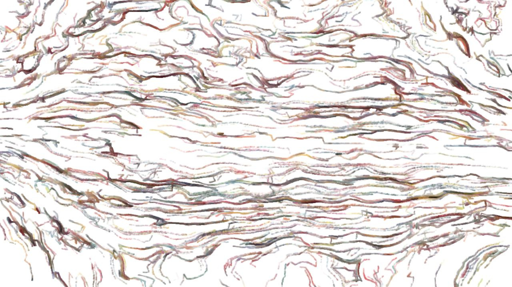 image: an image
